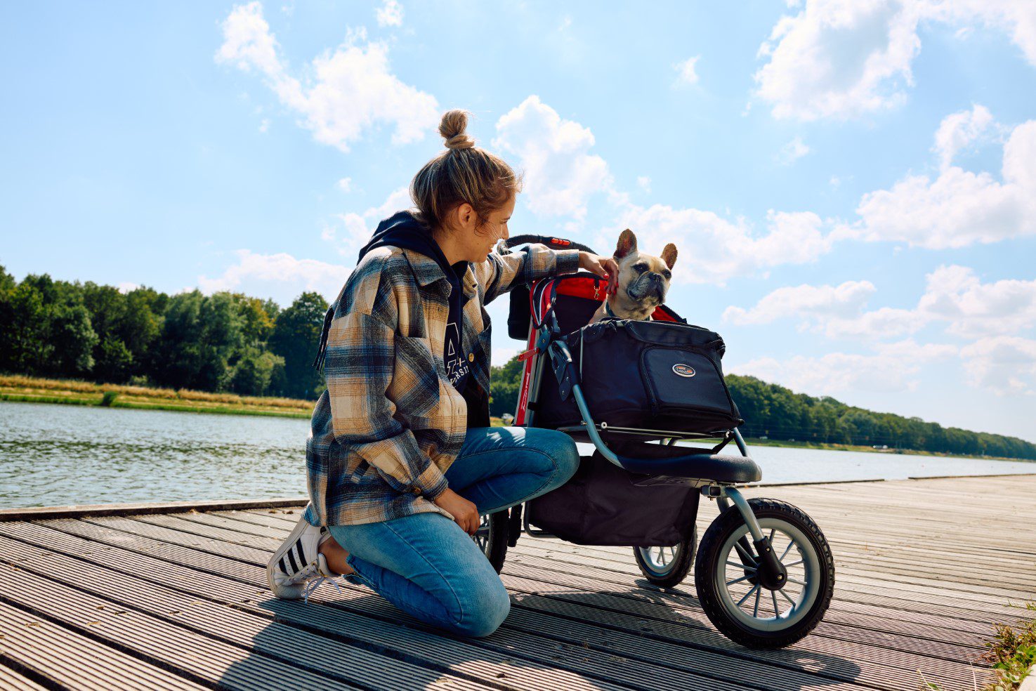 innopet dog pram comfort efa near water