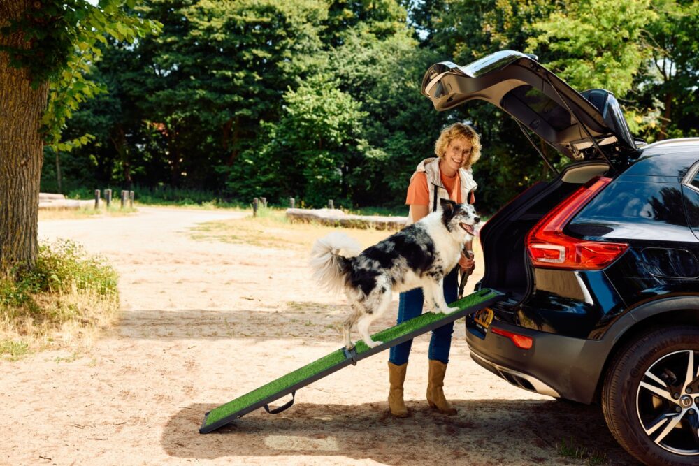 innopet-grassramp-loopplank-hond-suv-border-collie-2