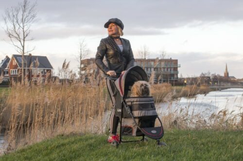 innopet-hondenbuggy-avenue-herfst-buitenfoto