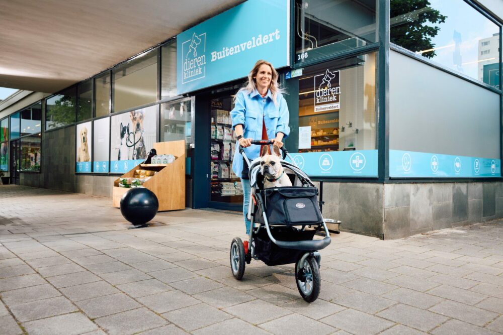 en_innopet-hondenbuggy-comfort-efa-franse-bull-dierenarts