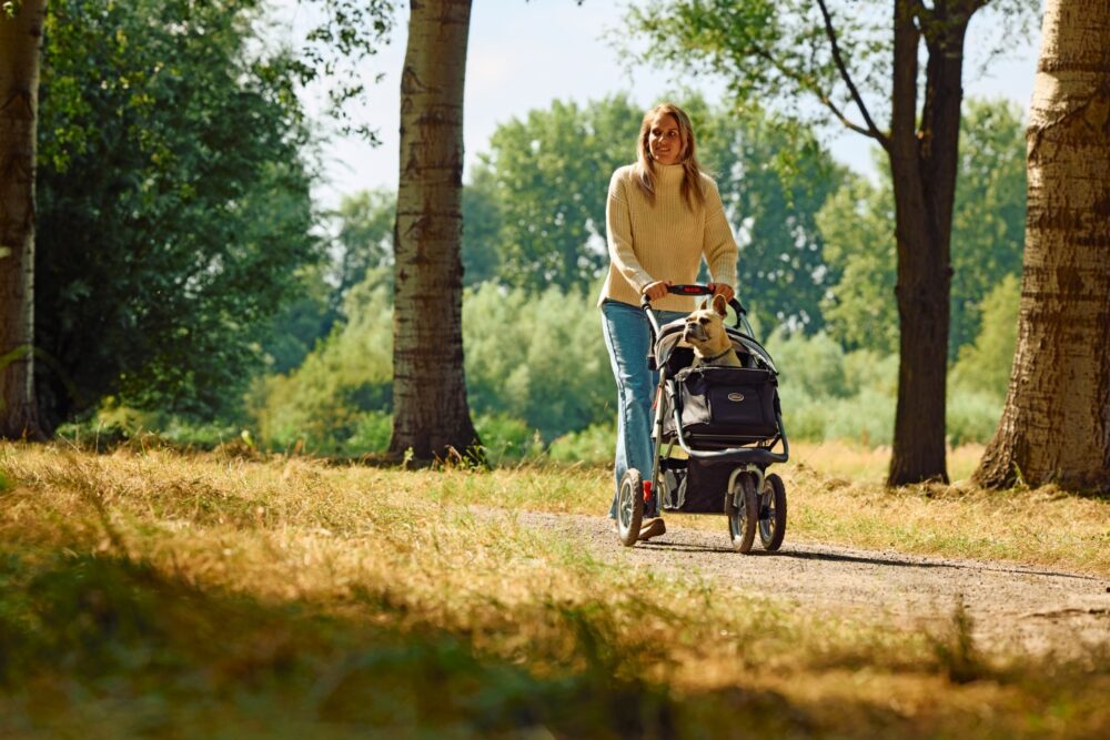 innopet-hondenbuggy-comfort-efa-franse-bull-wandelen-bos-2