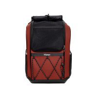Ibiyaya Champion Largde Dog Bacpack and Travel backpack for cats