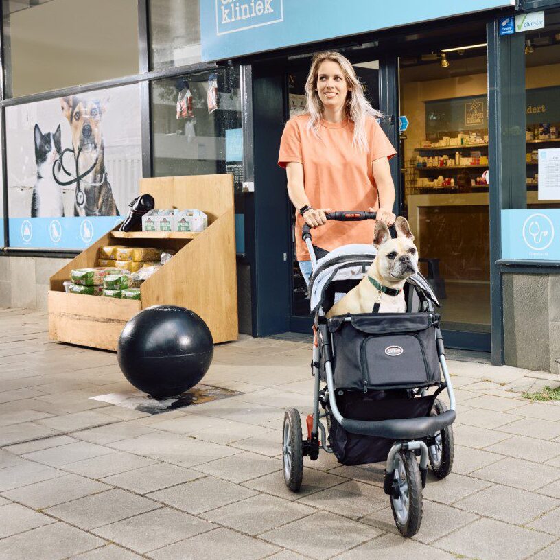 🐾 Dog Stroller Buyer’s Guide: Tires, Maintenance + Second‑Hand Tips