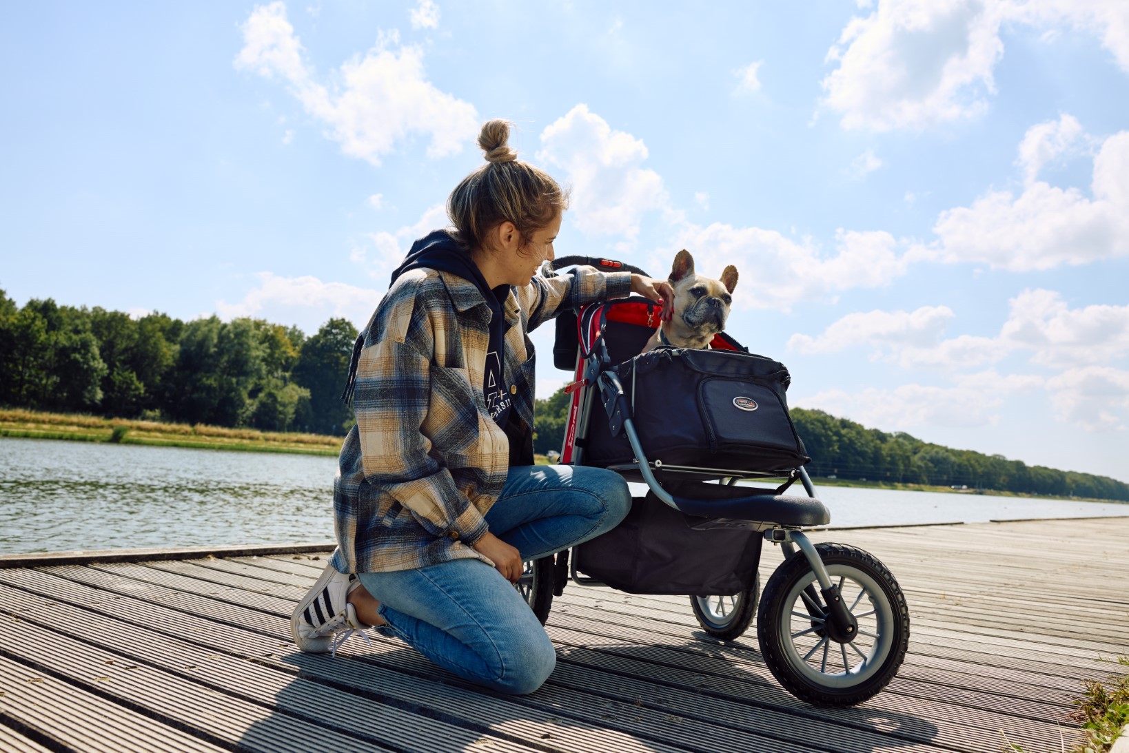 The best dog stroller of 2025: InnoPet Comfort EFA Eco