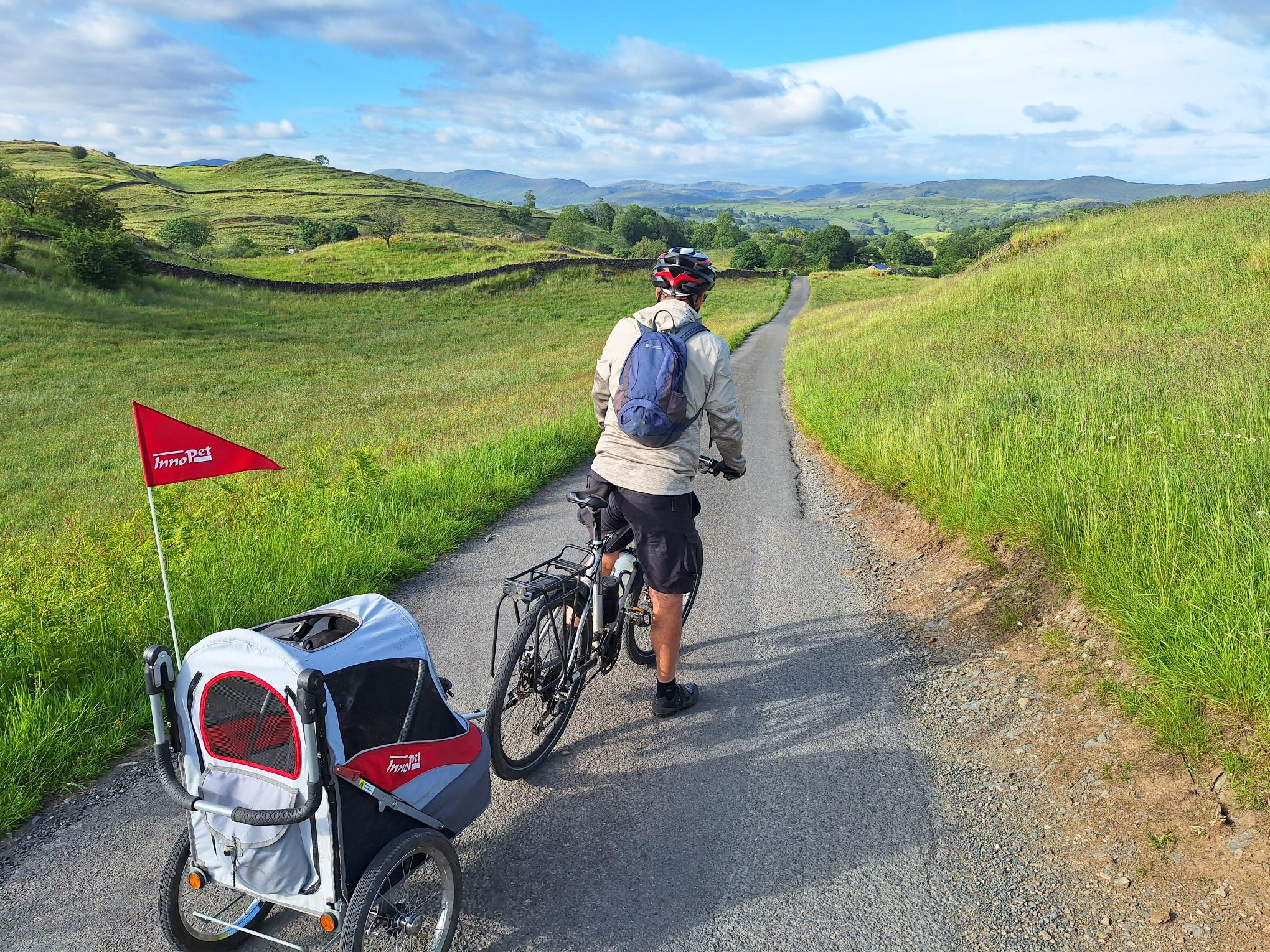 Choosing the ideal dog bike trailer for your dog in 5 steps