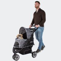 Small shih tzu dog in Dog pram InnoPet Allure Onyx with fun design