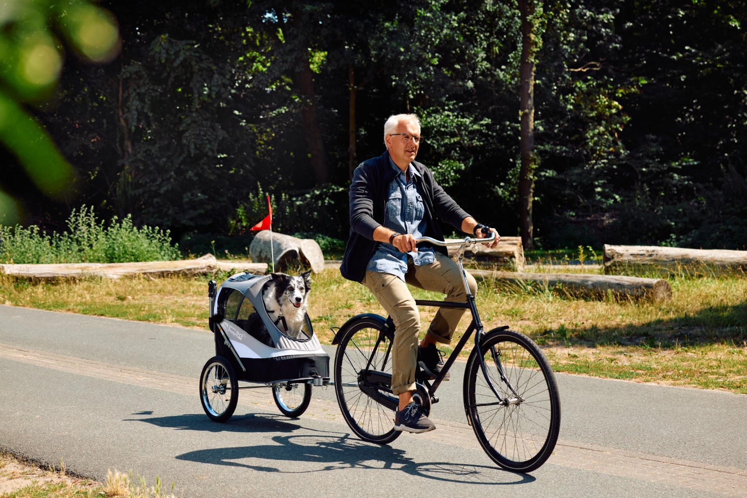 Why a dog bike trailer will elevate your adventures with your dog