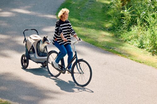 Bike trailers