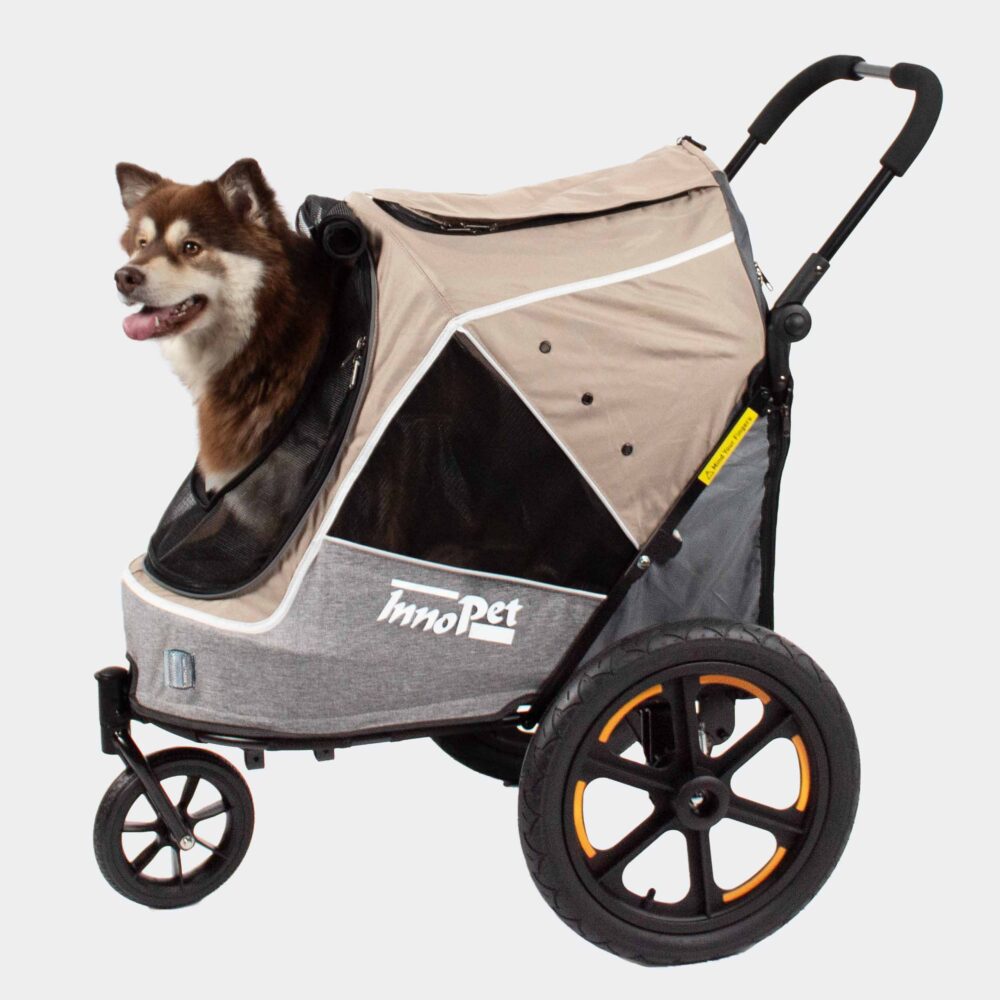 InnoPet Sporty Evolution