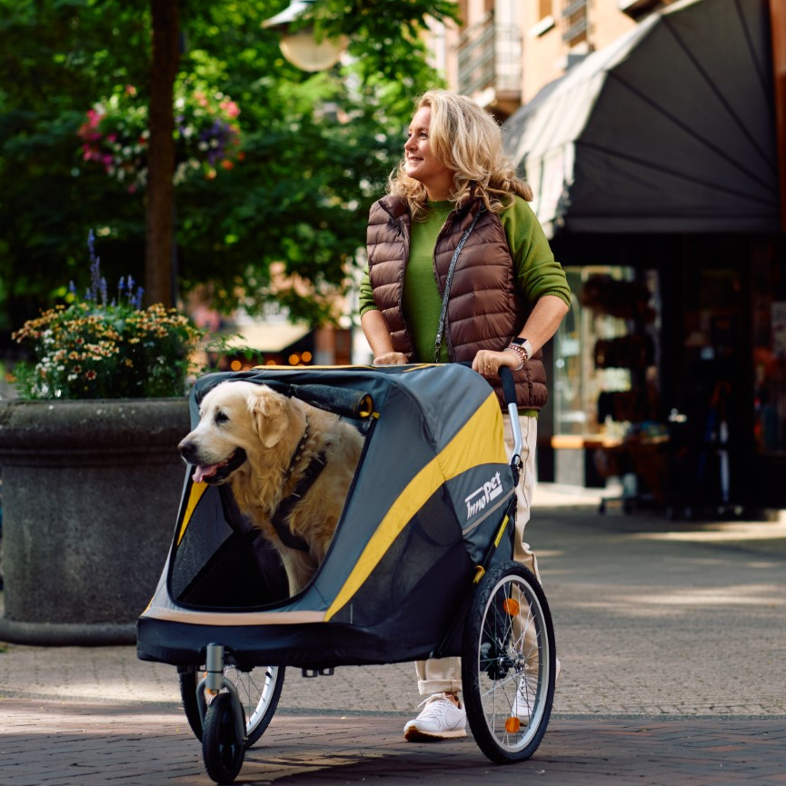 InnoPet-Find-A-Dealer-woman-buggy