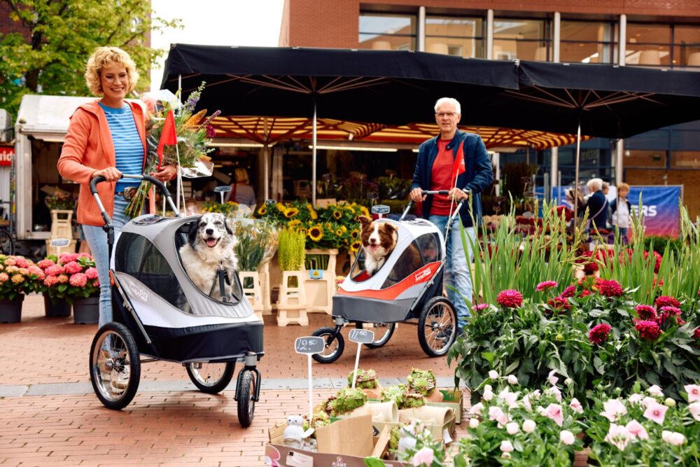 innopet-dog-pram-bike-trailer-sporty-dog-trailer-market-2
