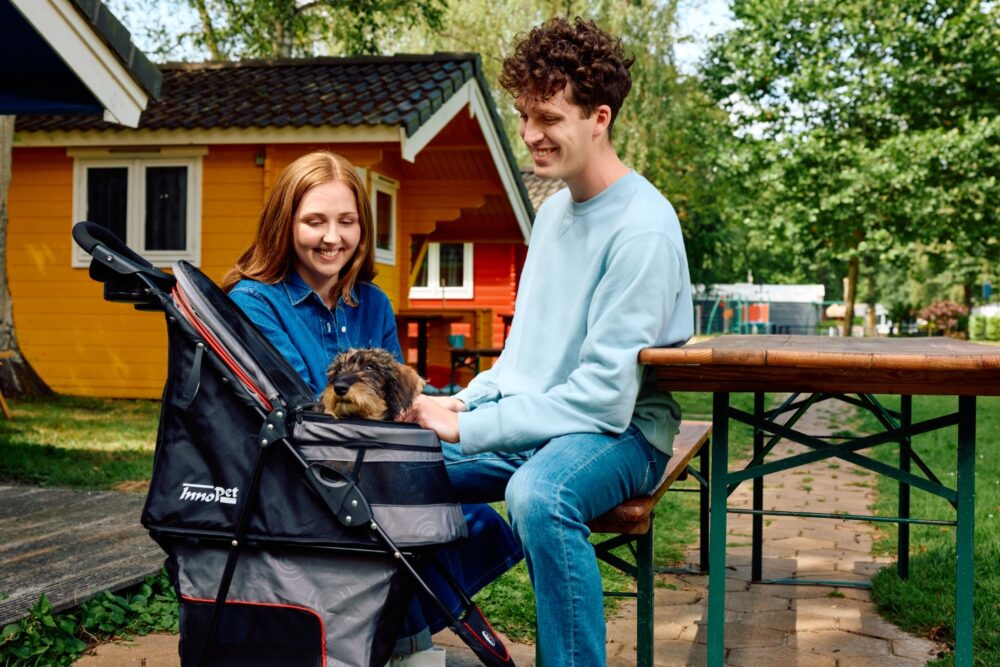 innopet-dog-pram-small-dog-young-couple-picknick-avenue-shiny-grey