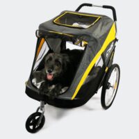 Large dog on an orthopedic dog mattress in a dog trailer