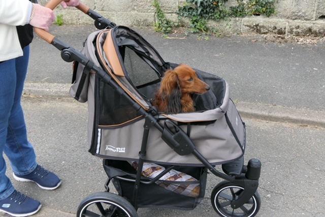 Taking the dog stroller on vacation