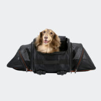 Ibiyaya JetPaw 3 in 1 carrier extended with dachshund 4