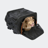 Ibiyaya JetPaw 3 in 1 carrier extended with dachshund 3