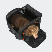 Ibiyaya JetPaw 3 in 1 carrier extended with dachshund 2