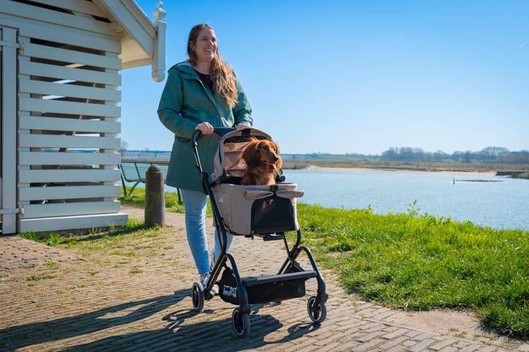 Innopet Nomad pet stroller with detachable cabin for small dogs and cats